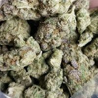 CBN I Special: Tier I Jamaican Plant I Ommp Price