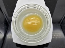 Slapz - 1G Live Rosin