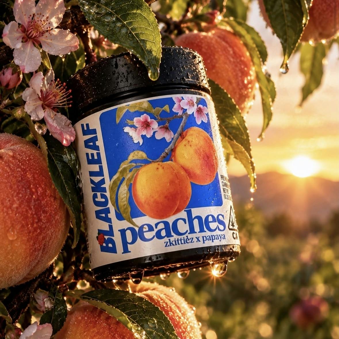 Blackleaf | Peaches | 3.5g