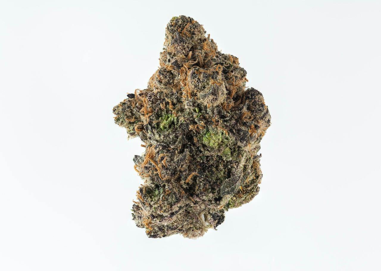 ROLLY | Lava Dream | Big Buds | 3.5g
