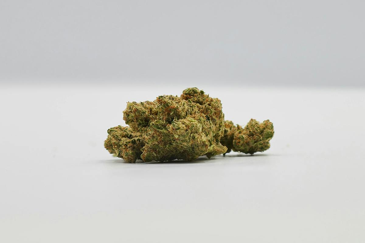 Diplomat | Kosher White Truffle 3.5g