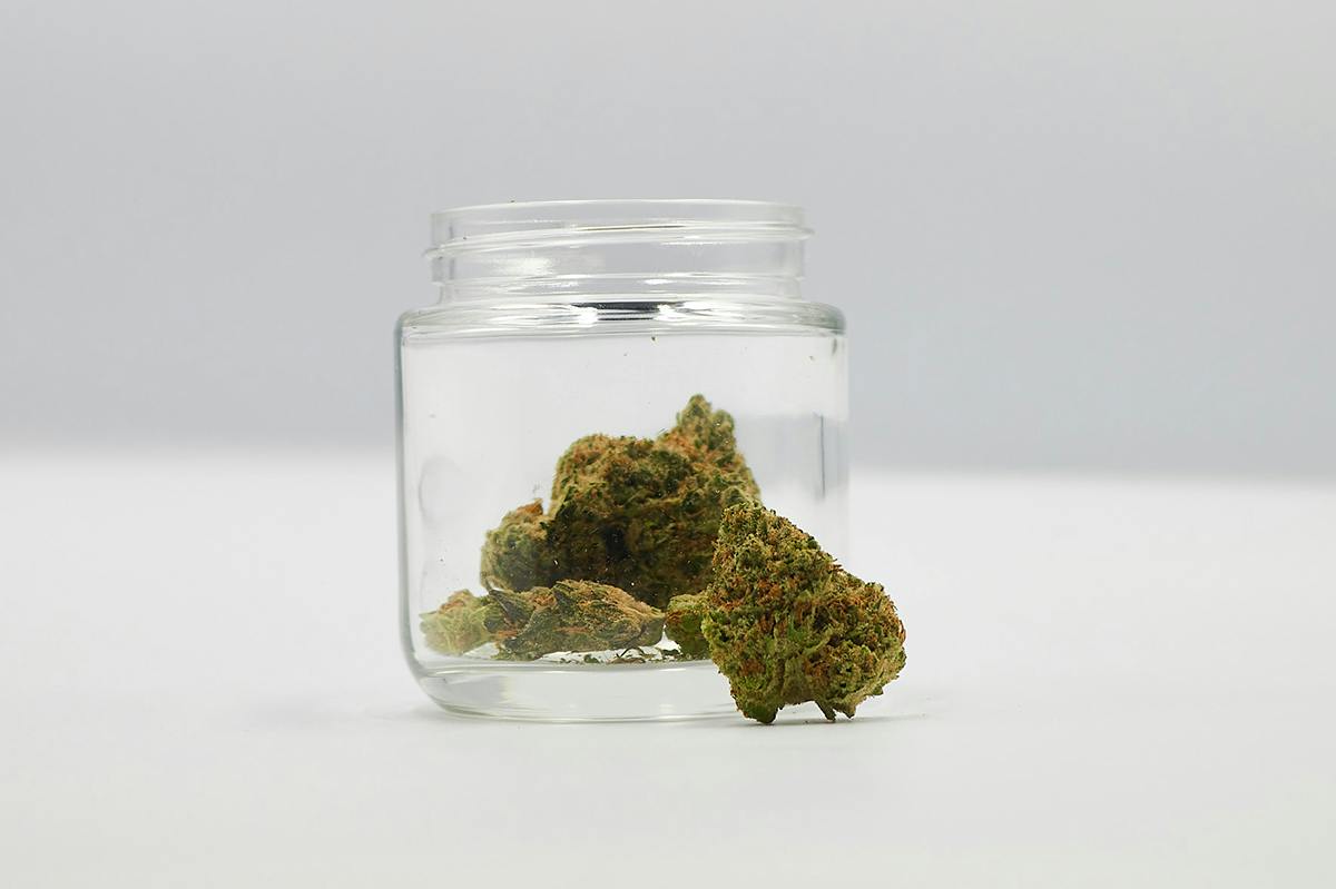 Diplomat | Amnesia Haze 3.5g