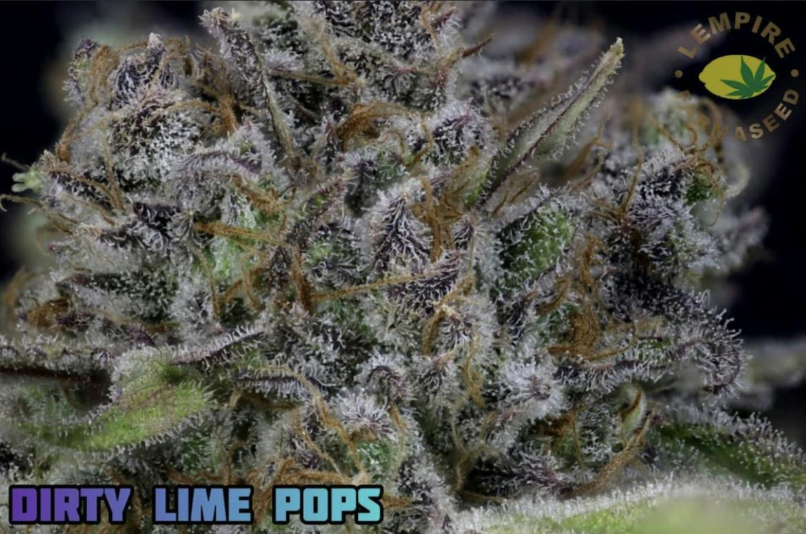Farmaseed Dirty Lime Pop
