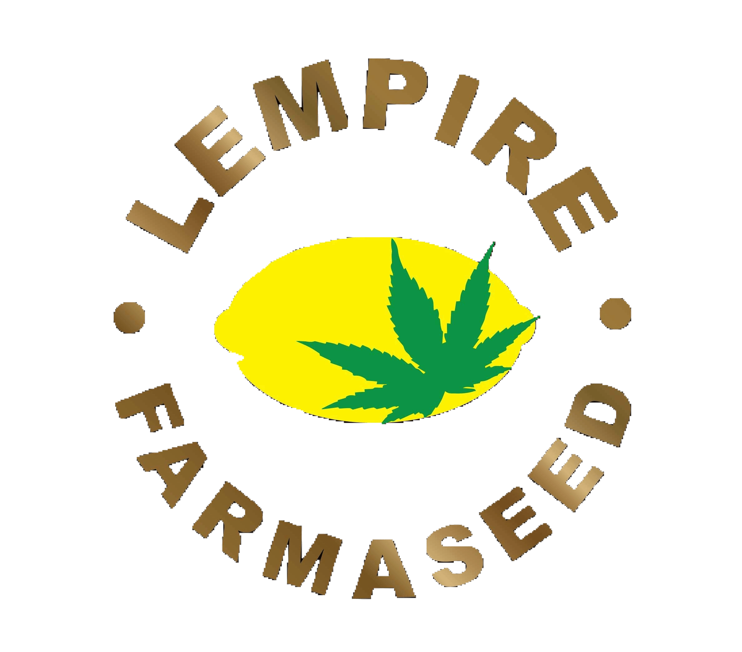 LEMPIRE: MAC Zushi 1/8th
