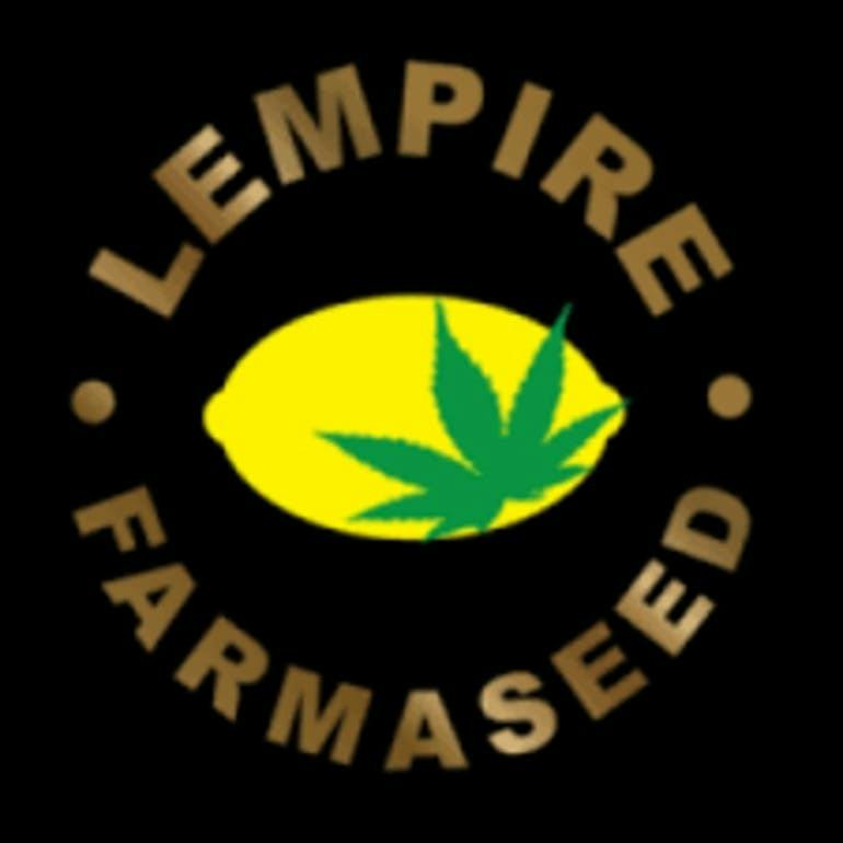 Lempire Farmaseed- GG#4 x Lem OG at Compassionate Heart