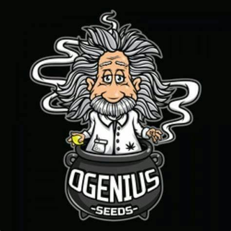 Lempire - Early OG X Lem OG at Compassionate Heart