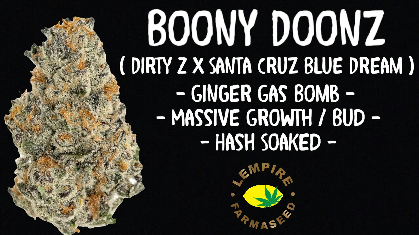 Lempire Farmaseed - Bonny Doonz