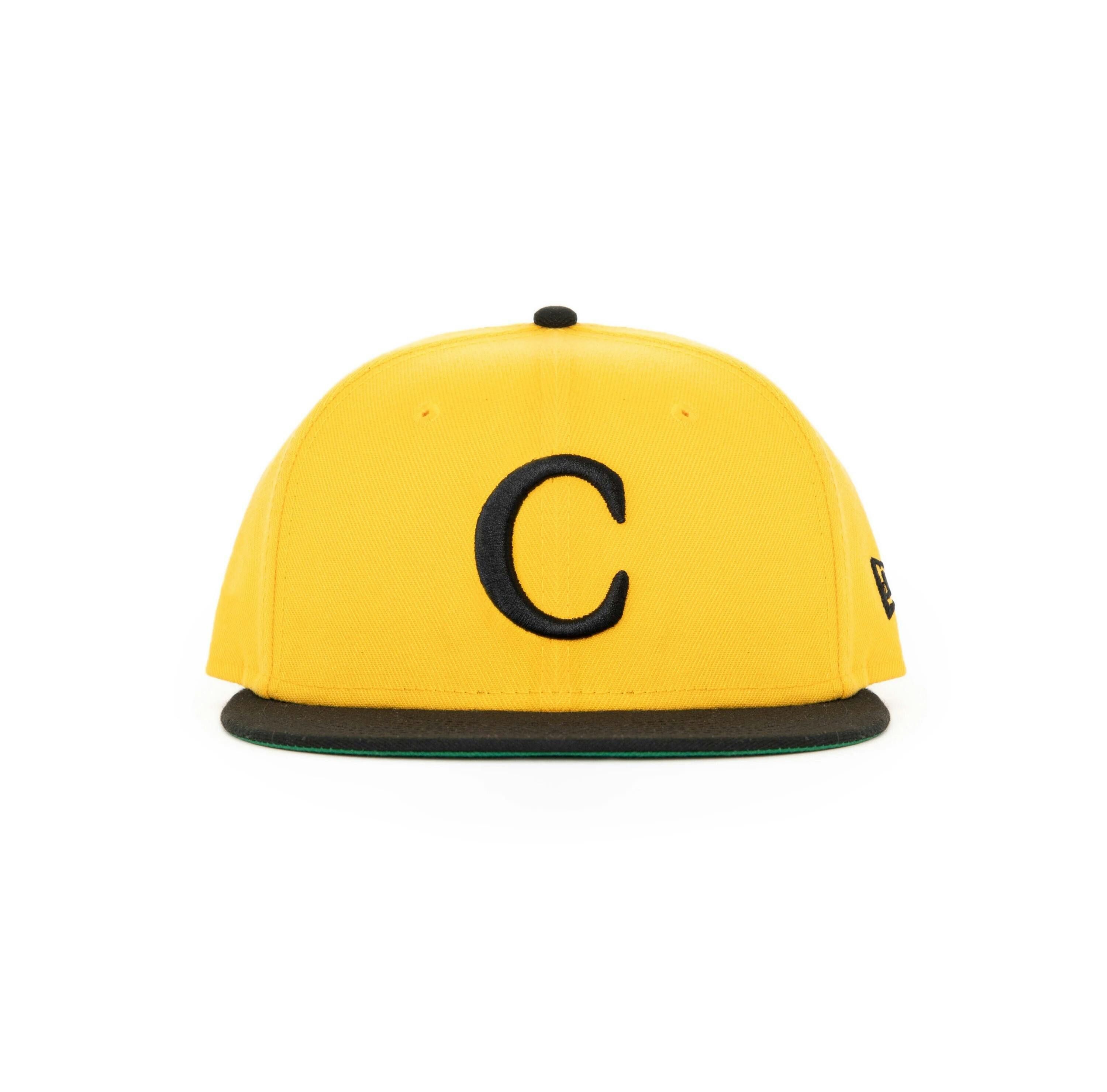 CARROTS Hat