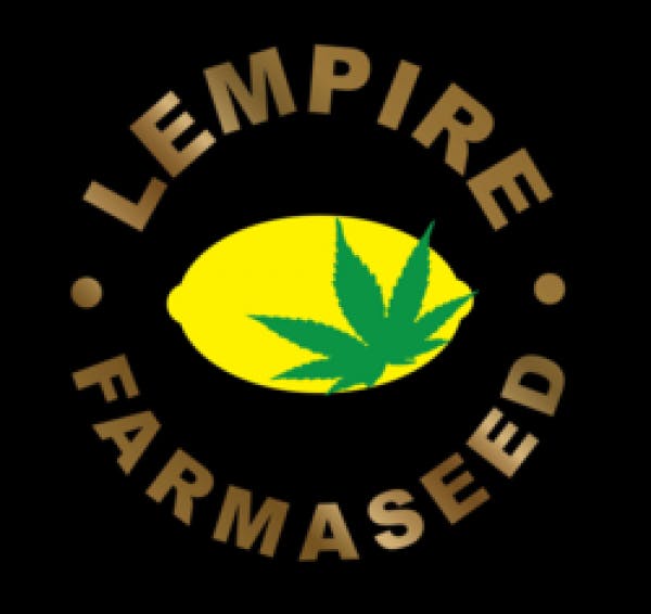 Lempire Farmaseed - Lemon Glue at Compassionate Heart
