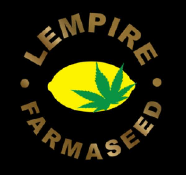 Lempire Farmaseed - Lem OZ x Limepop at Compassionate Heart