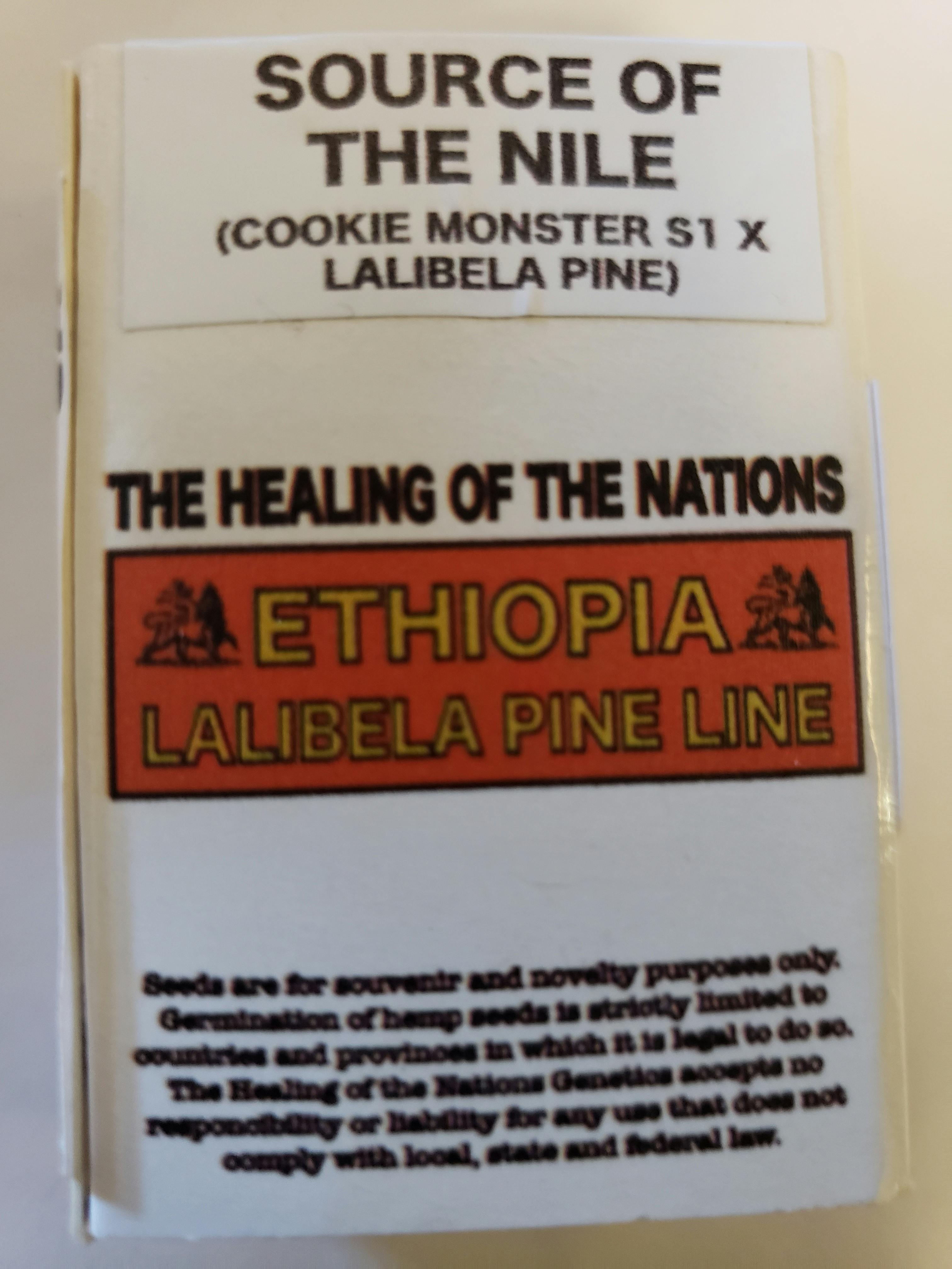 HON Genetics / Source of the Nile - Cookie Monster X Lalibela Pine