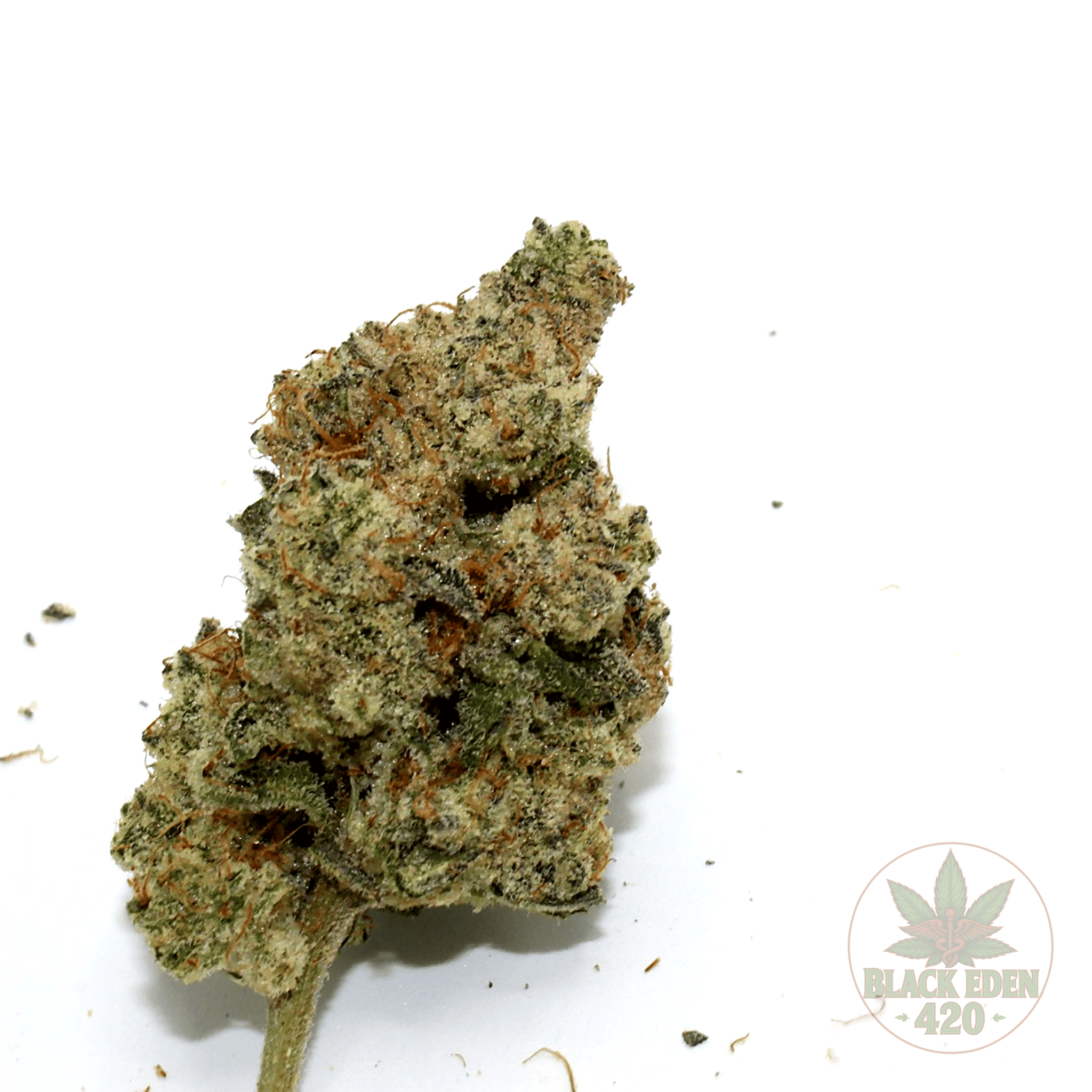 Crunch Berries | HYBRID | 3.5g