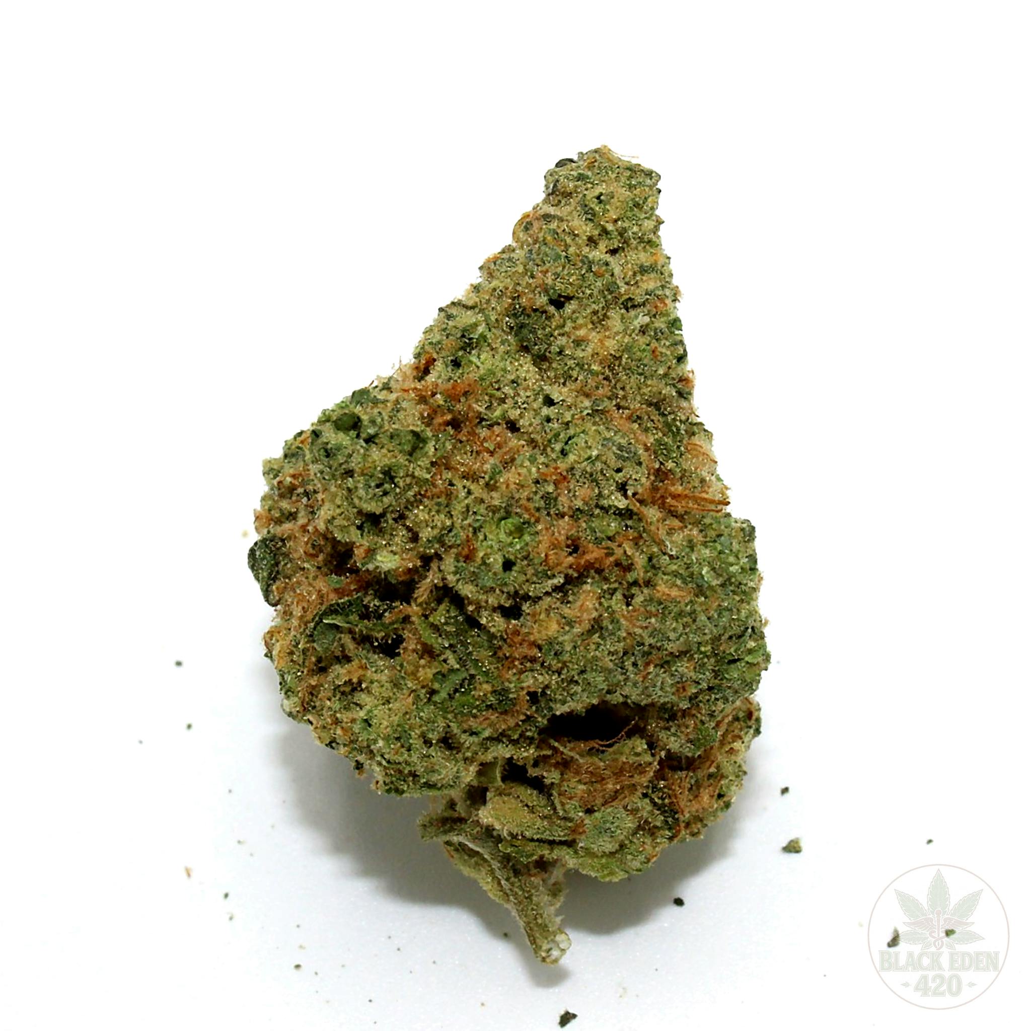 Applescotti | HYBRID | 14 Grams