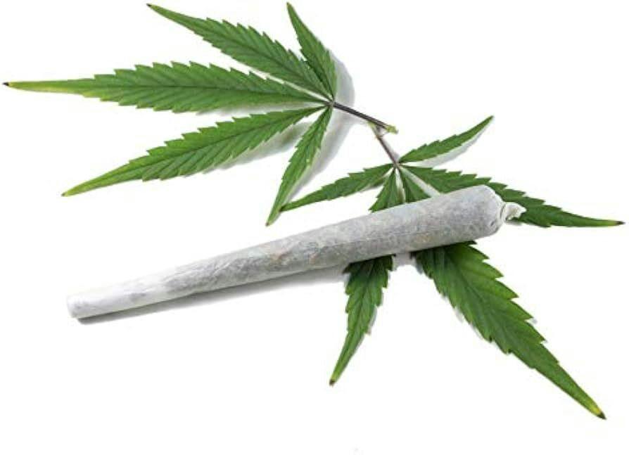 GMO | Joints | 1g