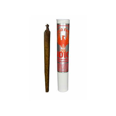 Fuego Phillies Blunt Whippets 1g (REC)
