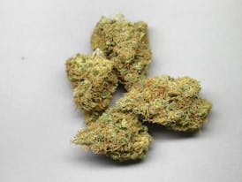 Fire Angel - Fleur 2:1 CBD/HYBRID Flower - 3.5g - FLR