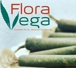 PreRoll Ice Cream Mintz (HYBRID) 2pk - 1.2g - FLV - Flora Vega
