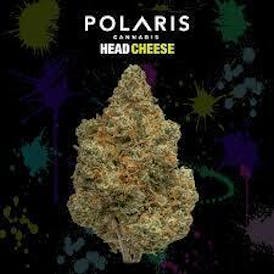 Head Cheese (HYBRID) - 3.5g - POL - Polaris MMJ