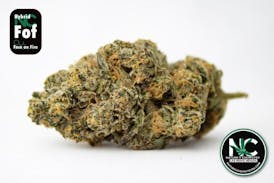 Face on Fire (HYBRID) - 1g - NCC - Natures Chemistry