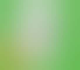 Shatter - Papaya (HYBRID) - 1g - SER - Serenity Wellness