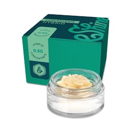 Badder - OMG (HYBRID) - &Shine - .5g - GTI