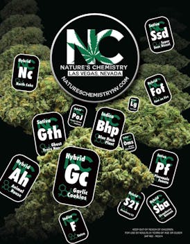 Rosin - Garlic Cocktail (INDICA) - .9g - NCP - Natures Chemistry