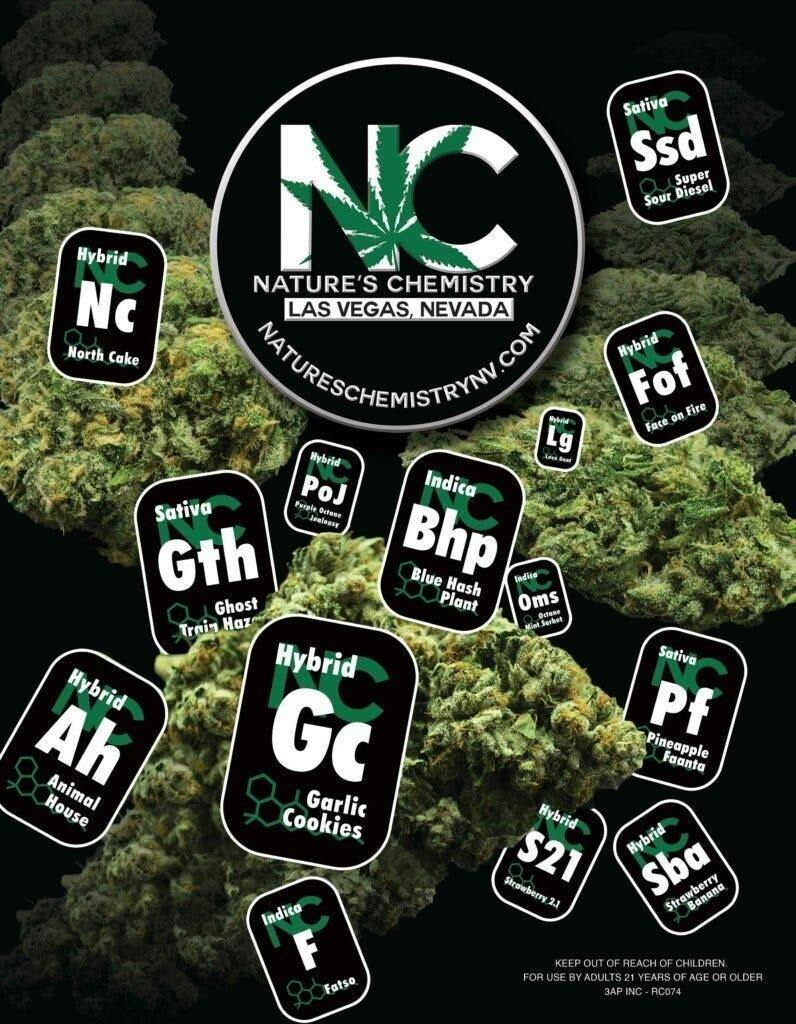 HEAVY HITTER 5G - Lizard Cake (HYBRID) - NCC - Natures Chemistry