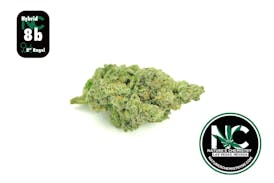 8 Inch Bagel (INDICA) - 3.5g - NCC - Natures Chemistry