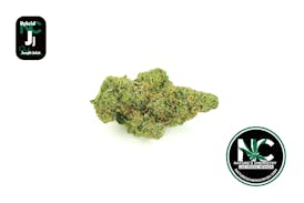 Jungle Juice (HYBRID) - Fat Sack - 7g (Popcorn) - NCC - Natures Chemistry