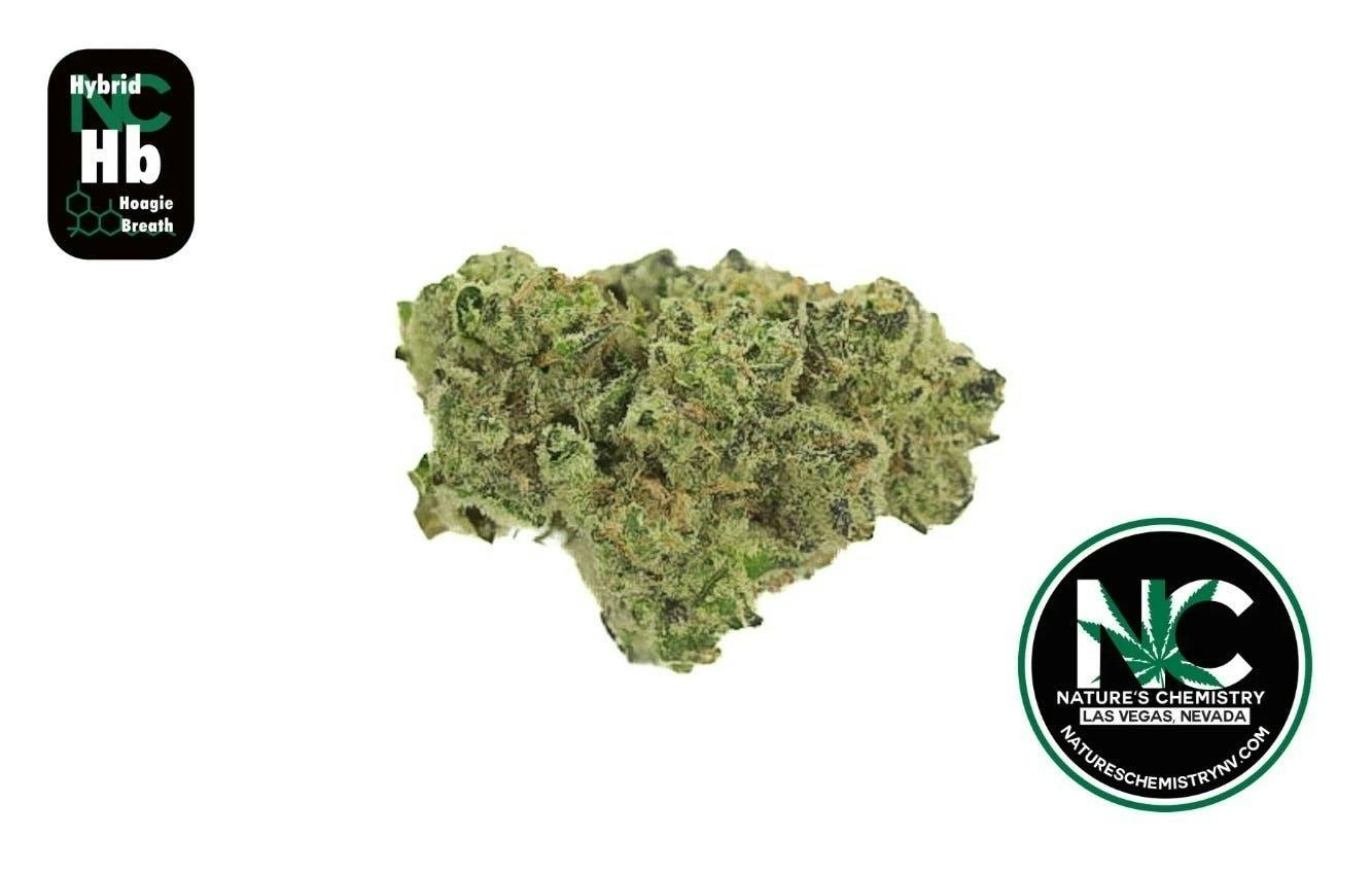 Hoagie Breath (HYBRID) - 1g - NCC - Natures Chemistry