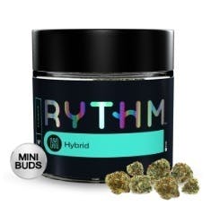 Runtz (HYBRID) - Rythm - FatSack (Popcorn) 7g - GTI