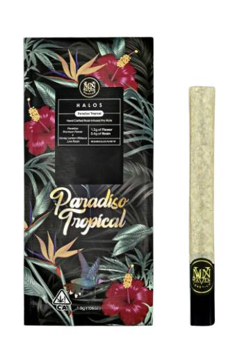 Maven: Paradiso Tropical