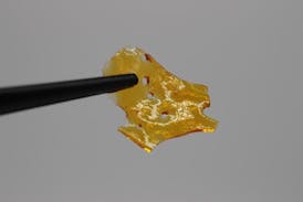 Blueberry CBD Shatter 1g