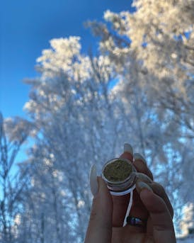 Purple Punch Kief 1g