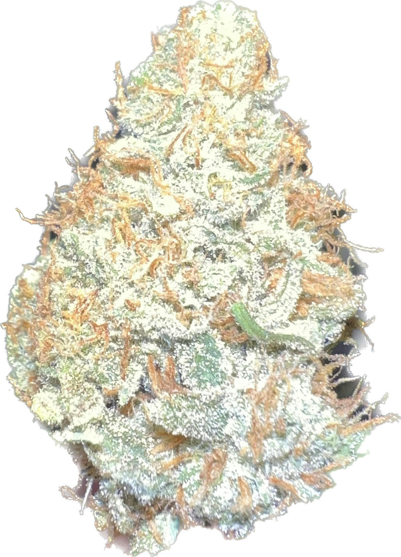 MTF 3.5g Flower 27.73% THC By AlaskaBuds
