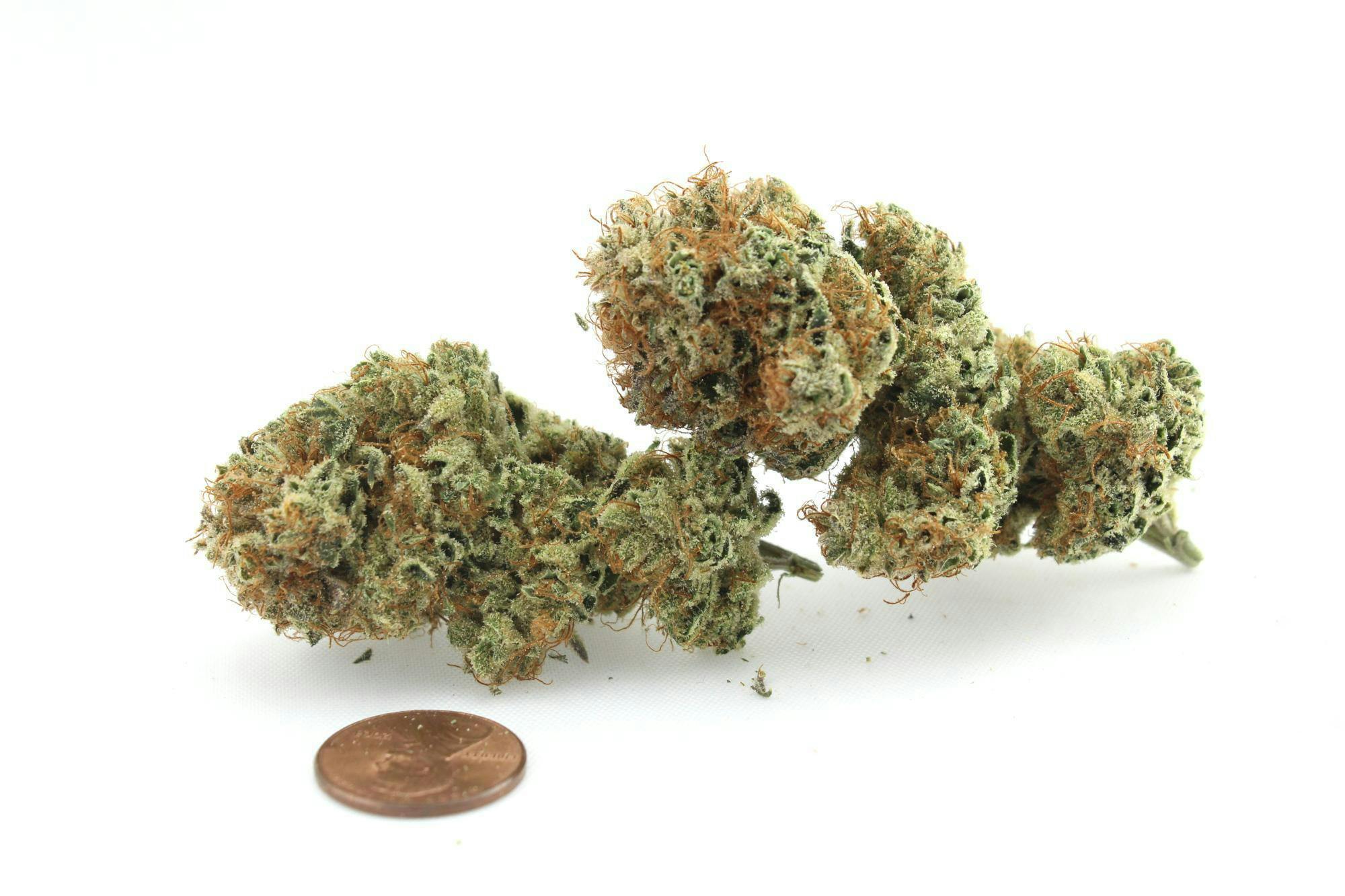 Honey Banana 1g Flower 32.72% THC by Aurora Blaze