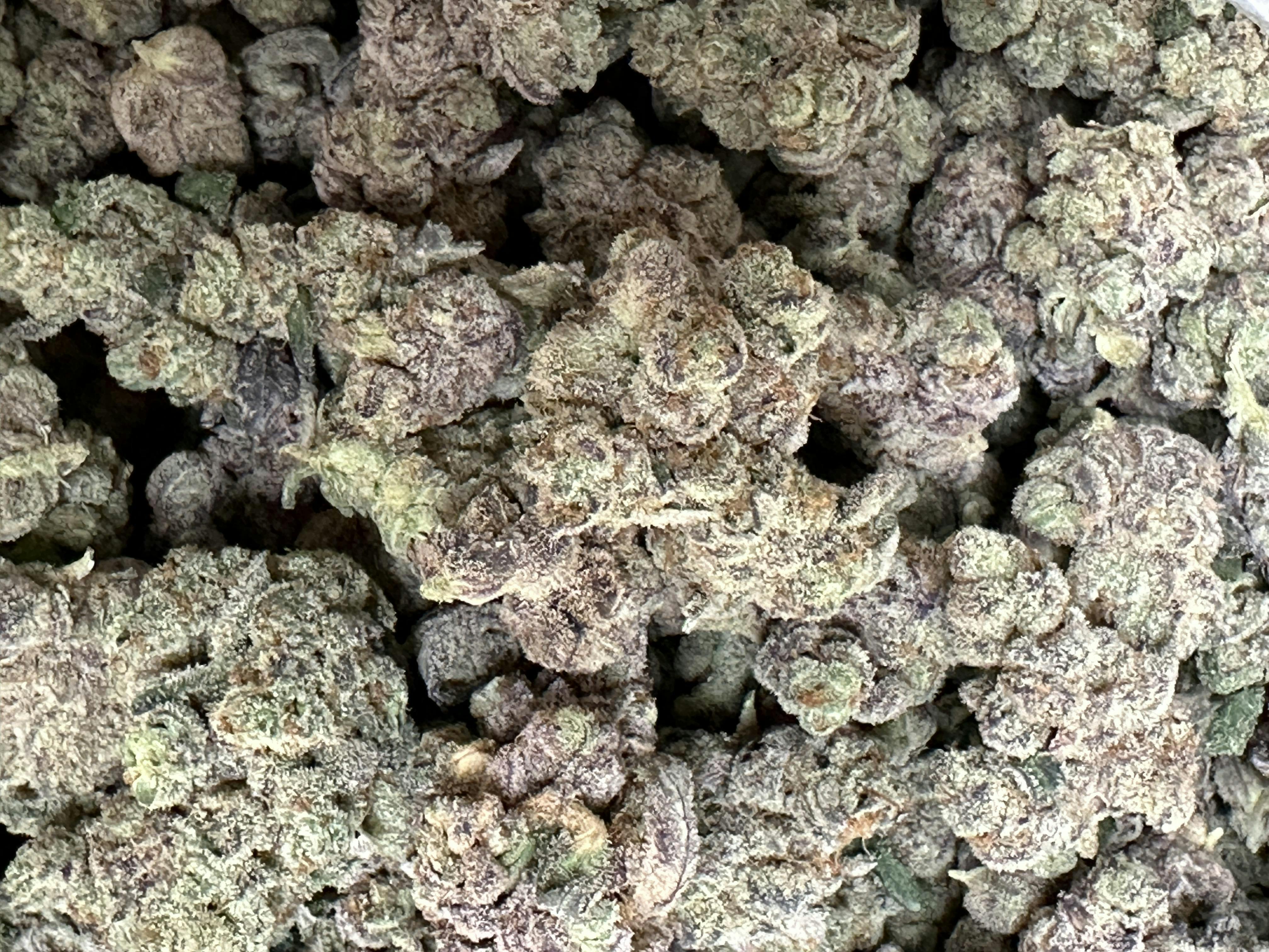 Glitter Bomb 30.02% THC 1G Flower By Dope Dynasty