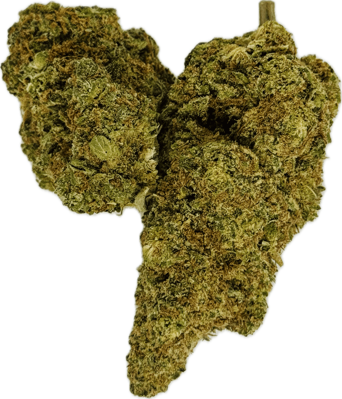 Durban Cookies 3.5g Flower 21.66% THC by ALASKAbuds