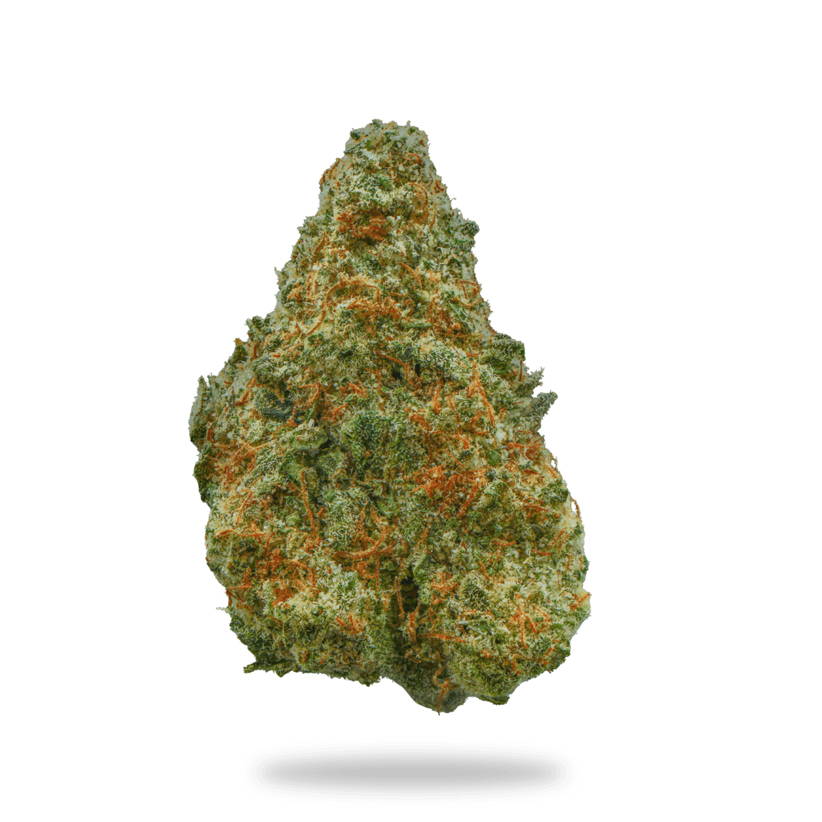 Frosted Mango 18.18% THC 3.5G Flower By ALASKAbuds
