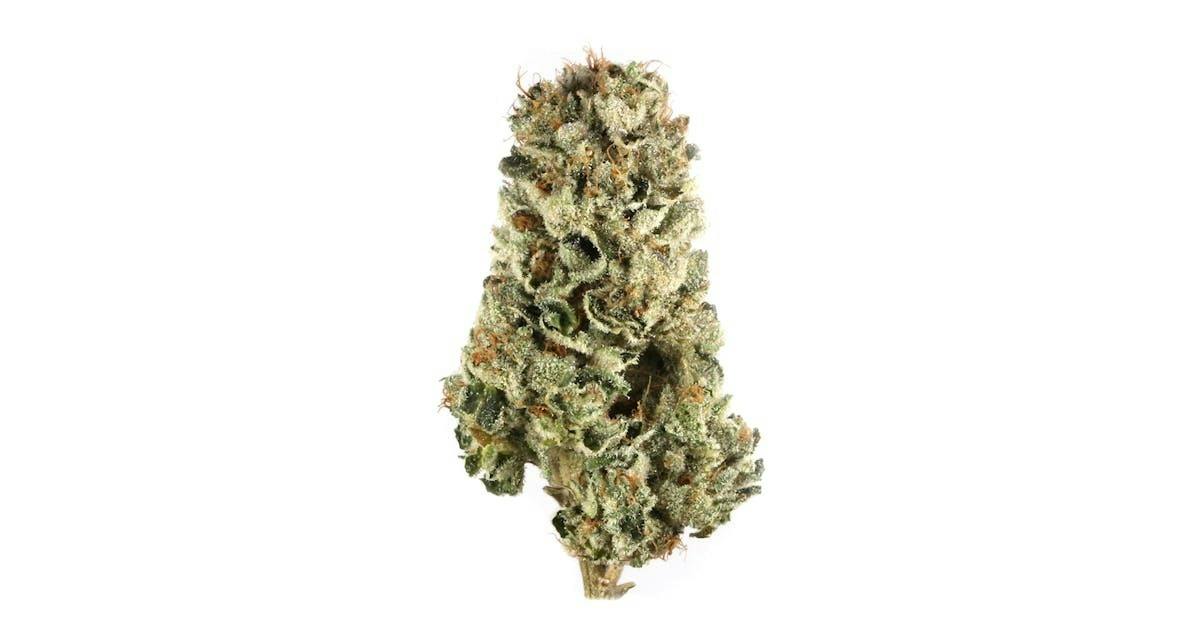 MTF 1g Flower 27.73% THC by ALASKAbuds Grow