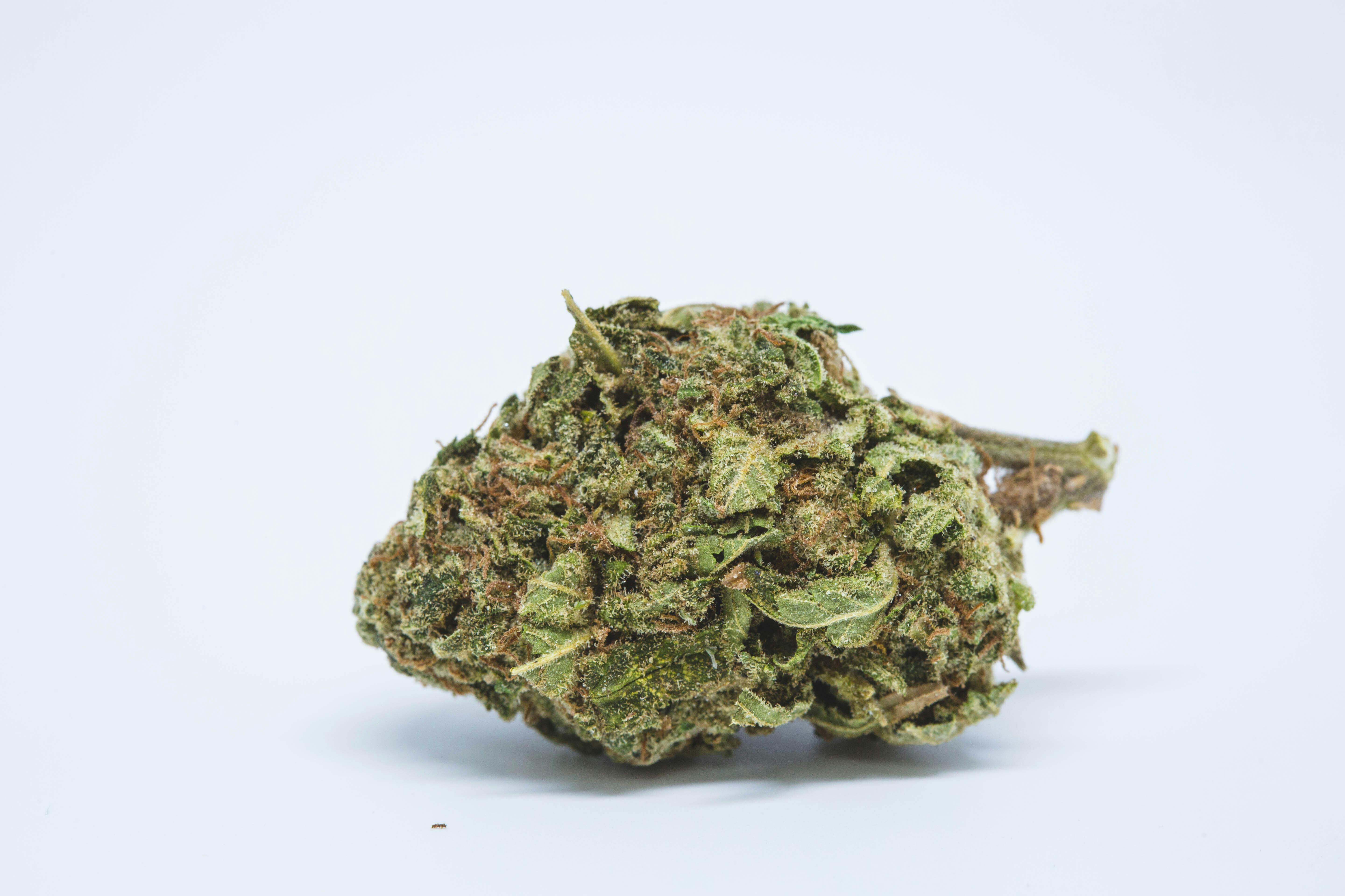 Blueberry Deli Flower 21.47% THC By Alaskabuds