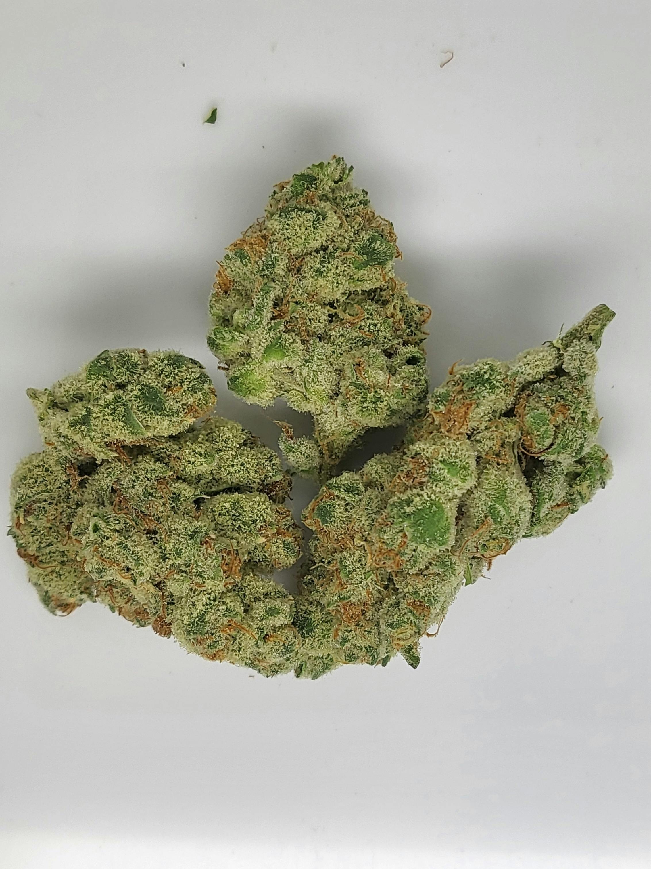 Melted Strawberries 1g Flower 31.15% THC by Redoubt Reefer