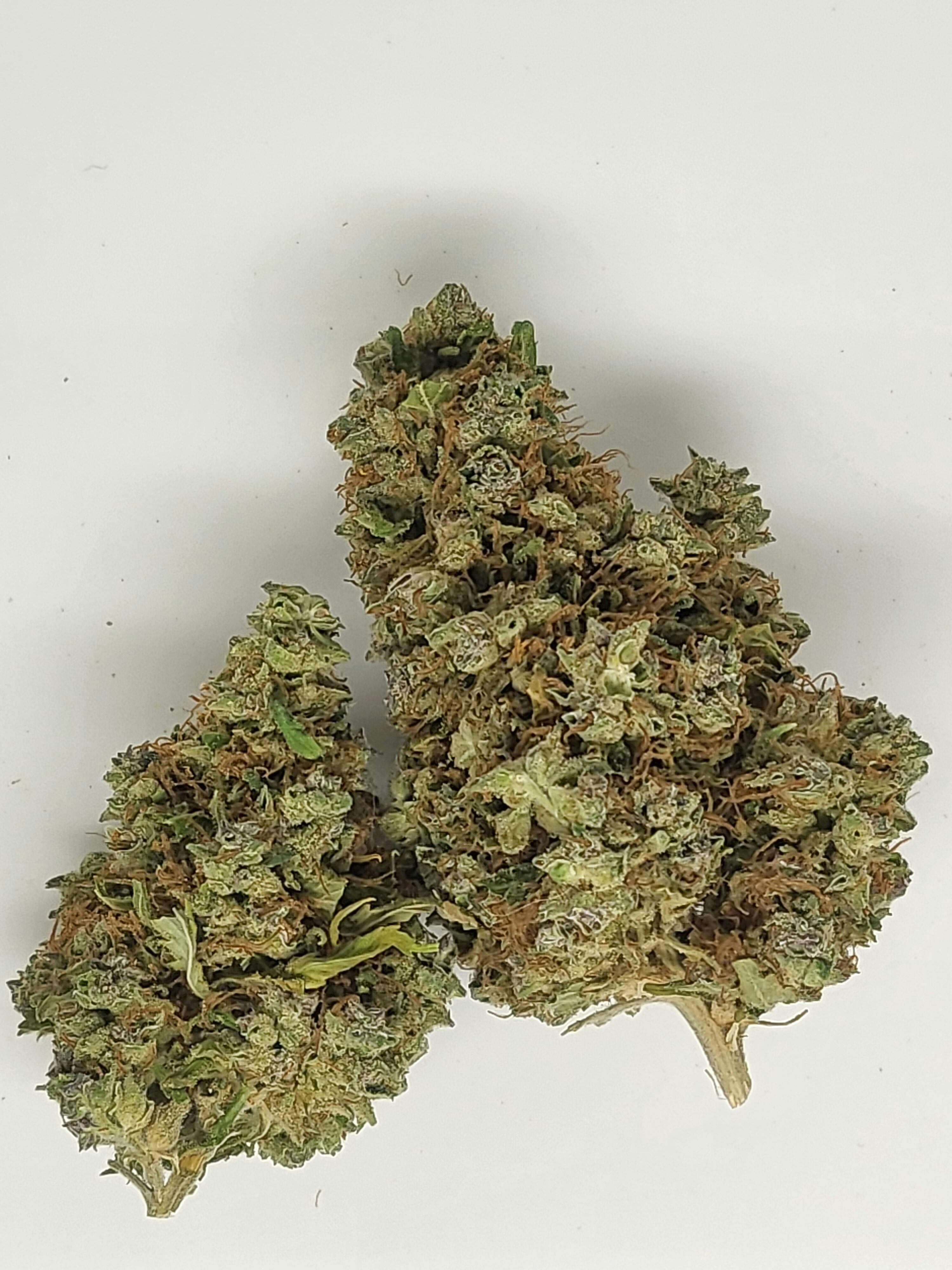 Matanuska Cherry Pie Flower 19.88% THC by ALASKAbuds