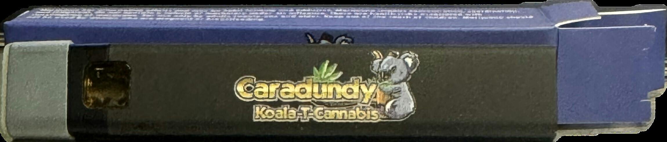 Caradundy Concentrates, 0.5G Disposable, 0.5G Preloaded Dab Rig - Mega Deals