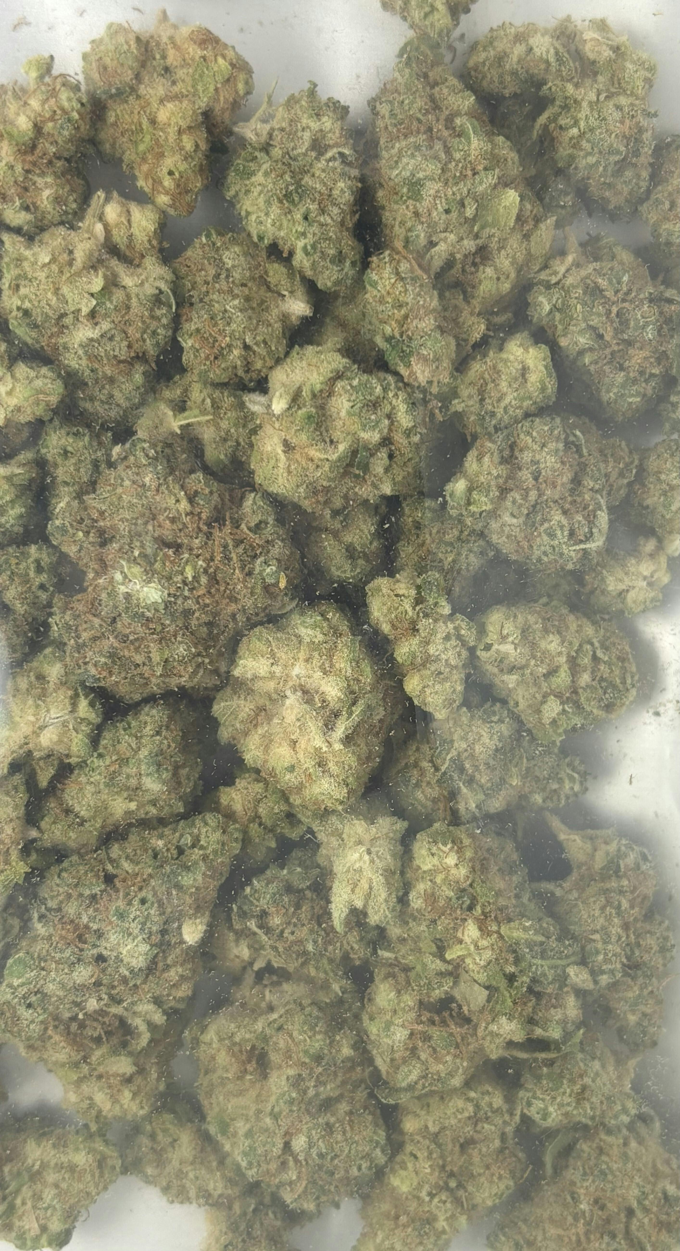 Pineapple Express 14g Flower 19.28% THC by ALASKAbuds