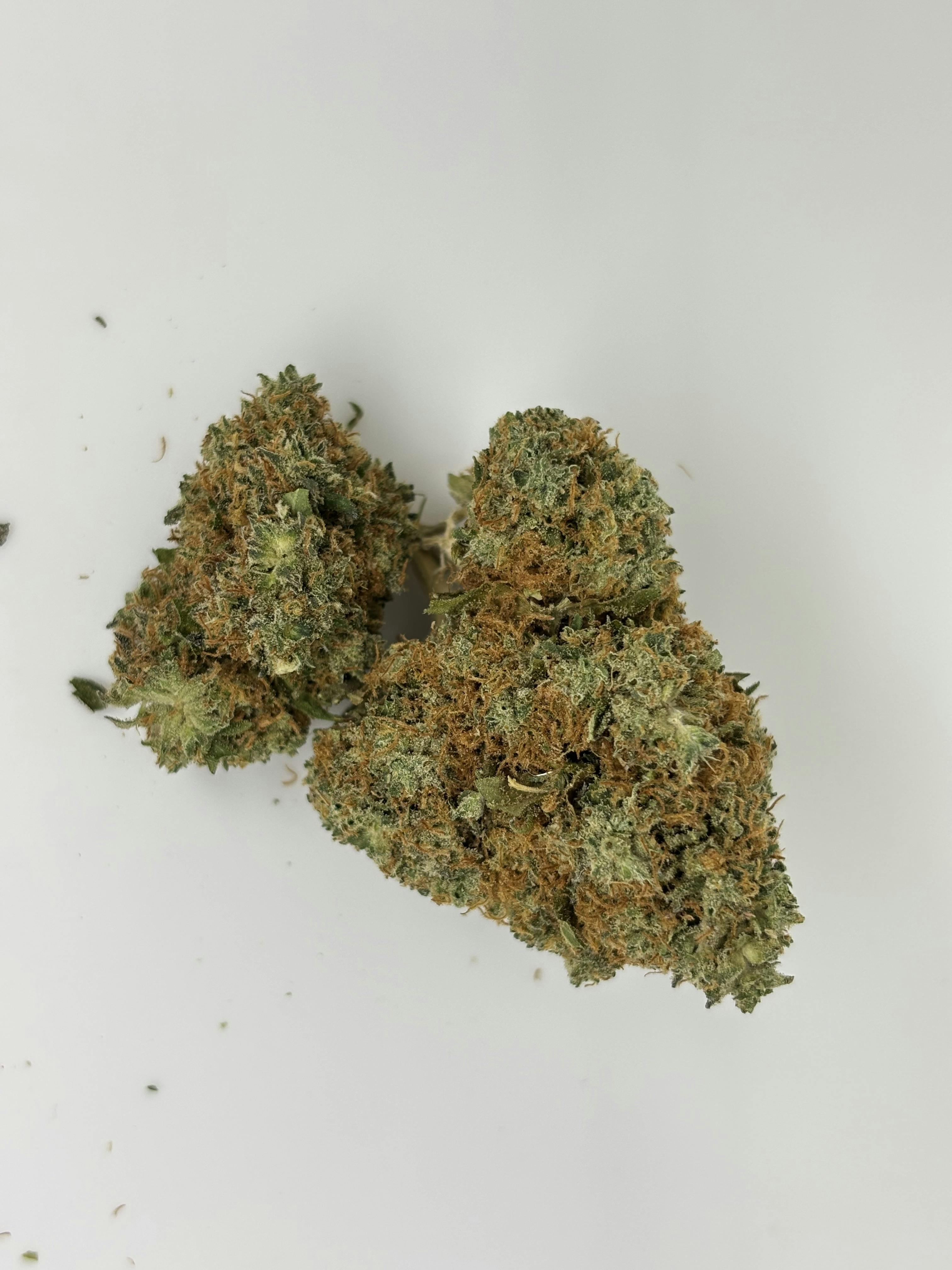 Cupcake 3.5G Flower 21.38% THC By ALASKAbuds