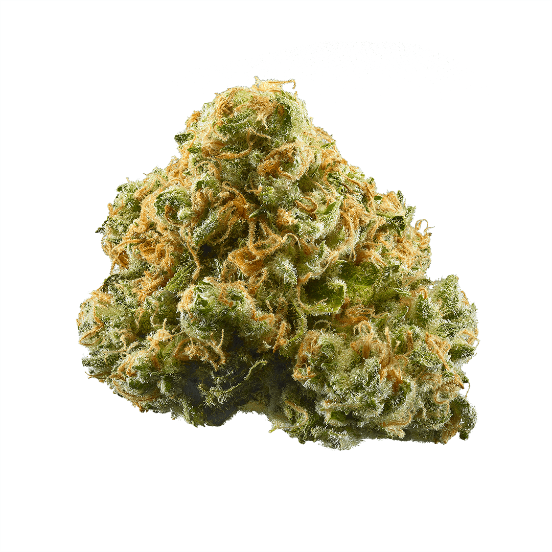 Pineapple Express 1g Flower 19.11% THC by ALASKAbuds Grow