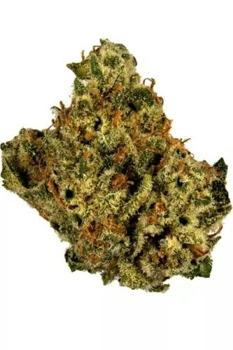 Gas Monkey 1g Flower 26.21% THC by ALASKAbuds
