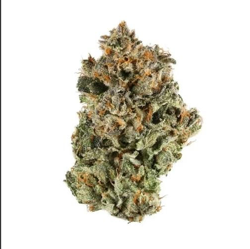 Dark Star 3.5g Flower 24.54% THC By Alaskabuds Grow
