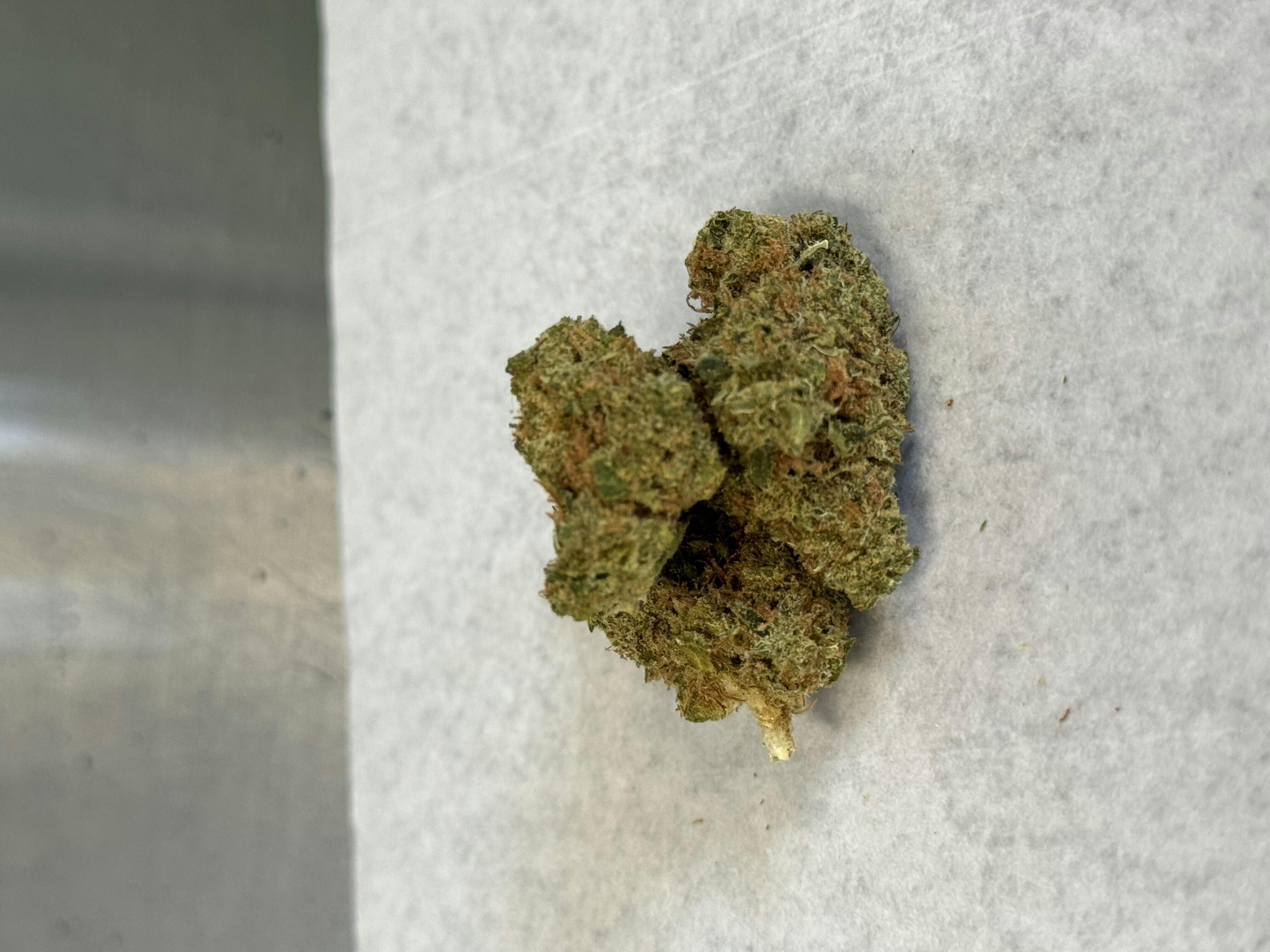 Gummy Bear 1g Flower 19.56% THC By Alaskabuds